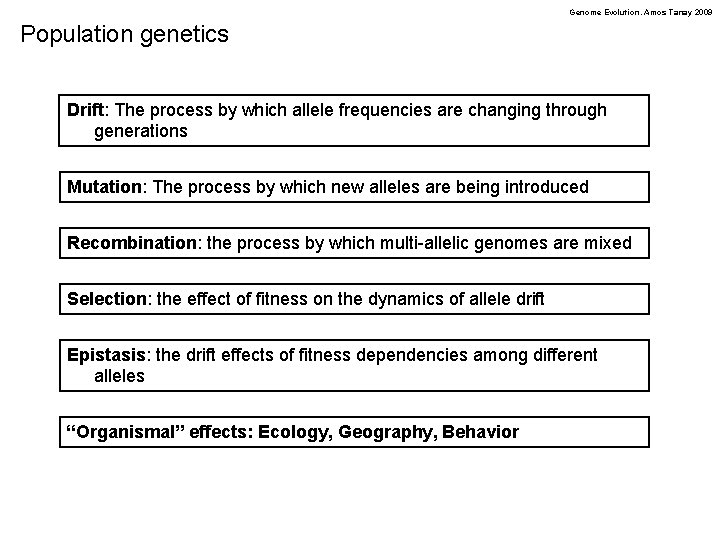 Genome Evolution. Amos Tanay 2009 Population genetics Drift: The process by which allele frequencies