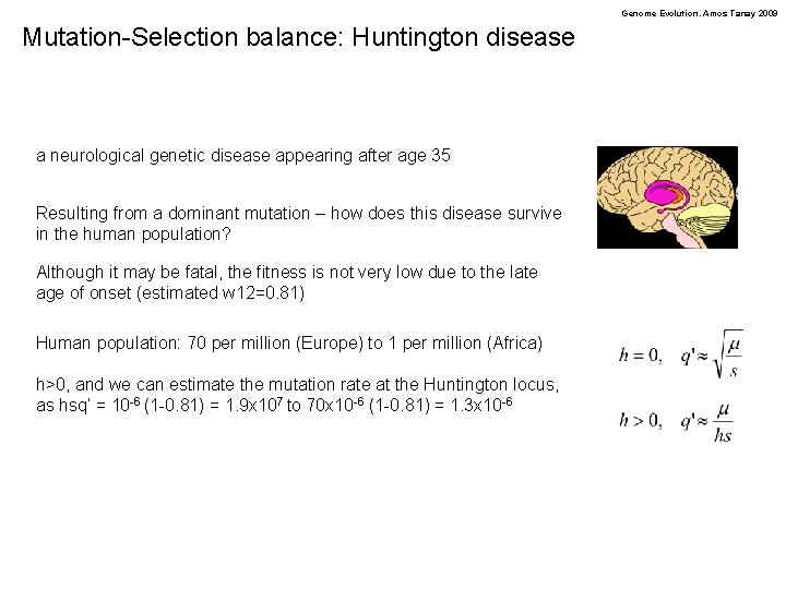 Genome Evolution. Amos Tanay 2009 Mutation-Selection balance: Huntington disease a neurological genetic disease appearing