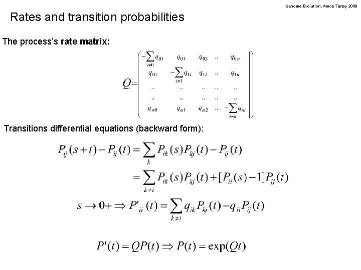 Genome Evolution. Amos Tanay 2009 Rates and transition probabilities The process’s rate matrix: Transitions