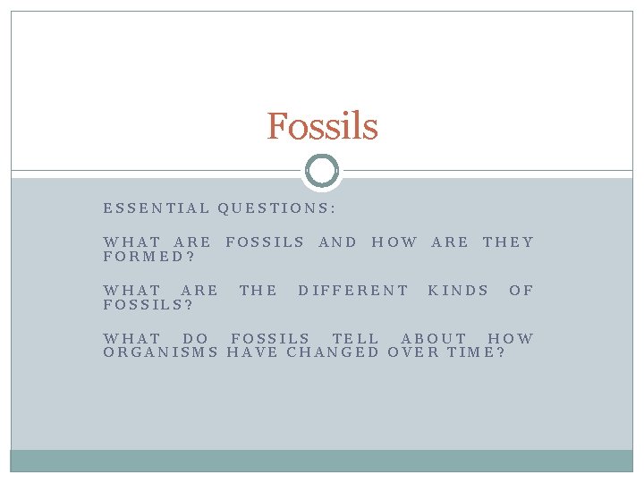 Fossils ESSENTIAL QUESTIONS: WHAT ARE FOSSILS AND HOW ARE THEY FORMED? WHAT ARE FOSSILS?