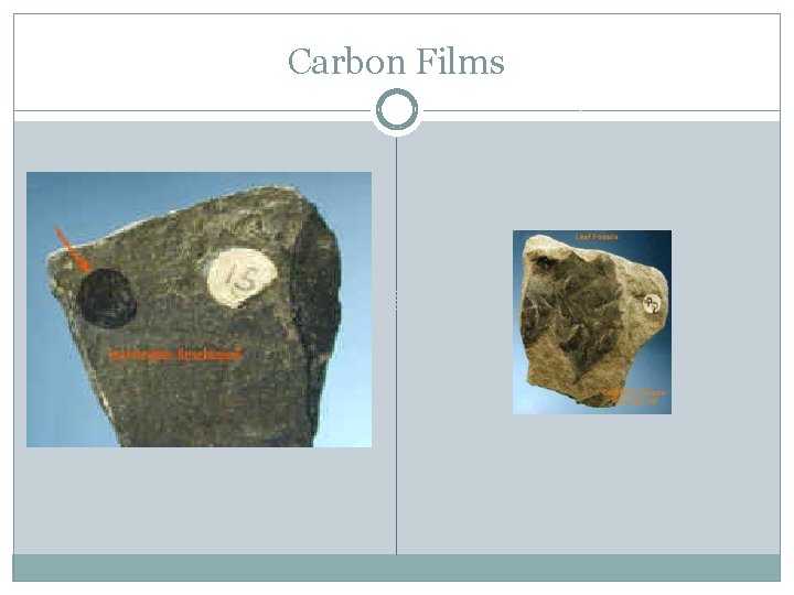 Carbon Films 