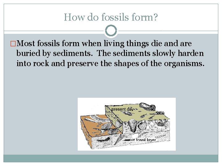 How do fossils form? �Most fossils form when living things die and are buried