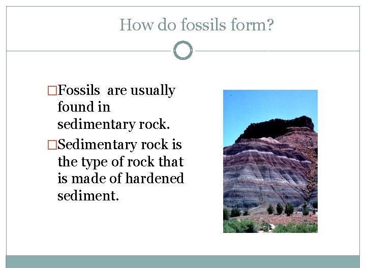 How do fossils form? �Fossils are usually found in sedimentary rock. �Sedimentary rock is