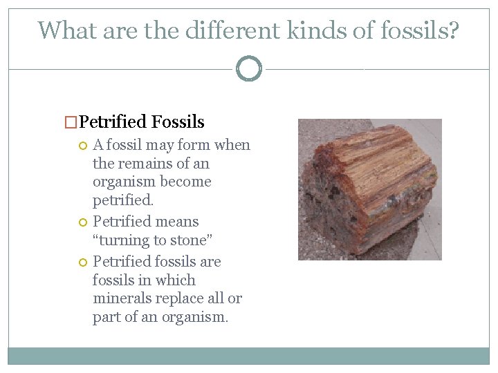 What are the different kinds of fossils? �Petrified Fossils A fossil may form when
