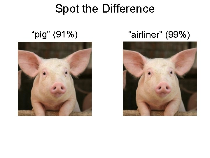 Spot the Difference “pig” (91%) “airliner” (99%) 