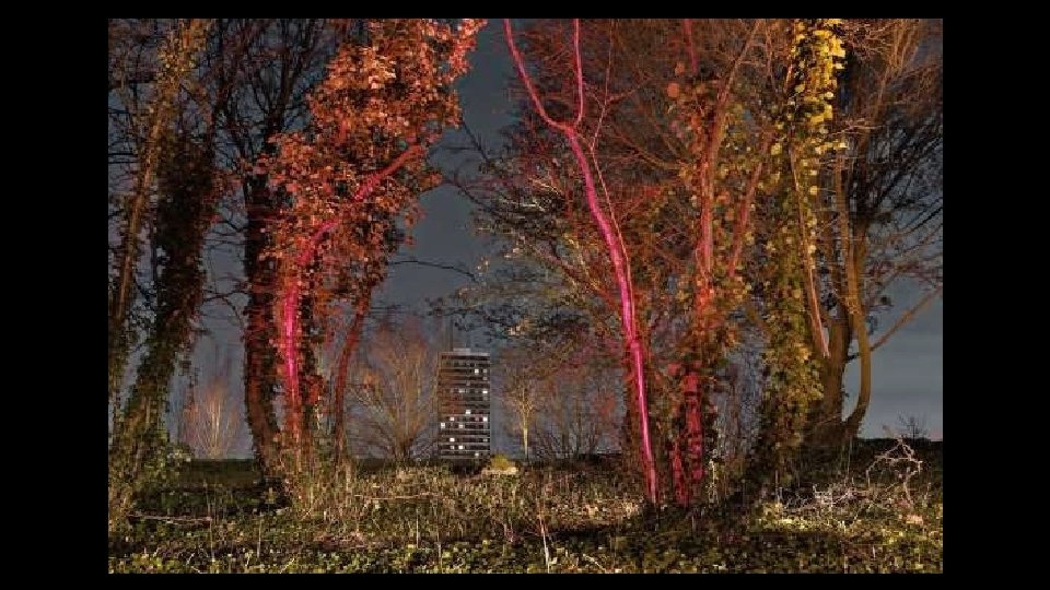 Parcs Montreuil Parc des Guilands, à Montreuil-sous-Bois. 2014 