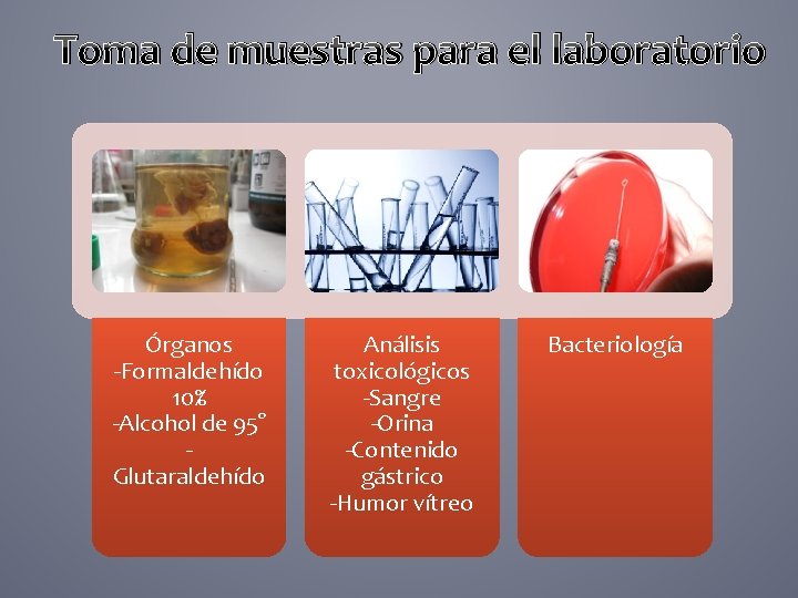 Toma de muestras para el laboratorio Órganos -Formaldehído 10% -Alcohol de 95° Glutaraldehído Análisis