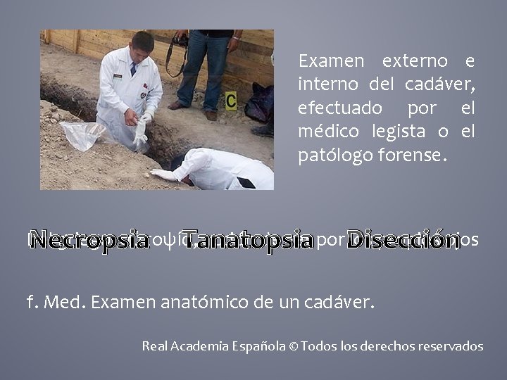 Examen externo e interno del cadáver, efectuado por el médico legista o el patólogo