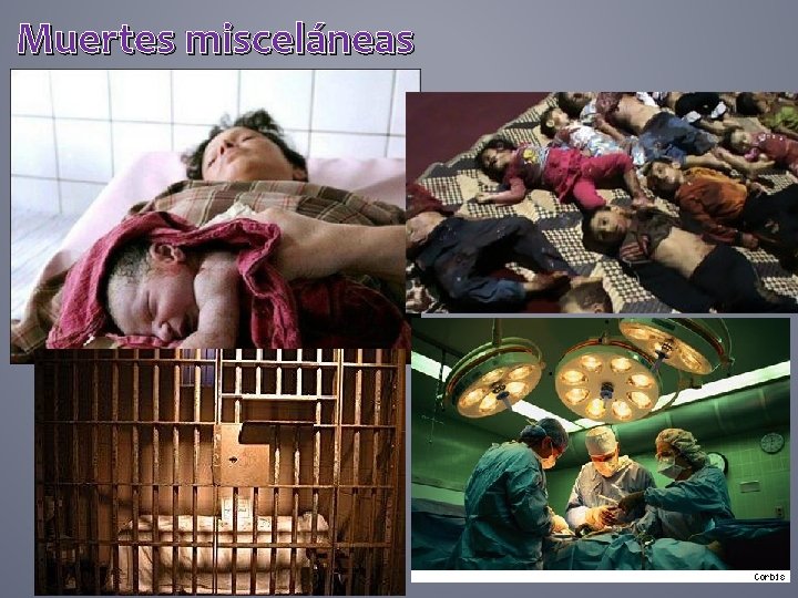 Muertes misceláneas 