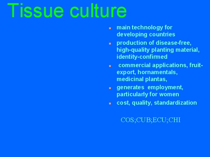 Tissue culture n n n main technology for developing countries production of disease-free, high-quality
