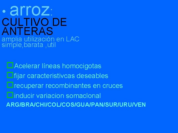  • arroz: CULTIVO DE ANTERAS amplia utilización en LAC simple, barata , util