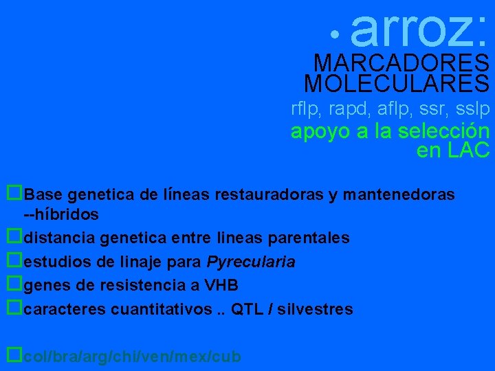 arroz: MARCADORES • MOLECULARES rflp, rapd, aflp, ssr, sslp apoyo a la selección en