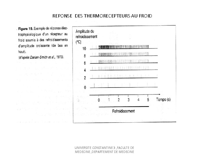 REPONSE DES THERMORECEPTEURS AU FROID UNIVERSITE CONSTANTINE 3 , FACULTE DE MEDECINE , DEPARTEMENT