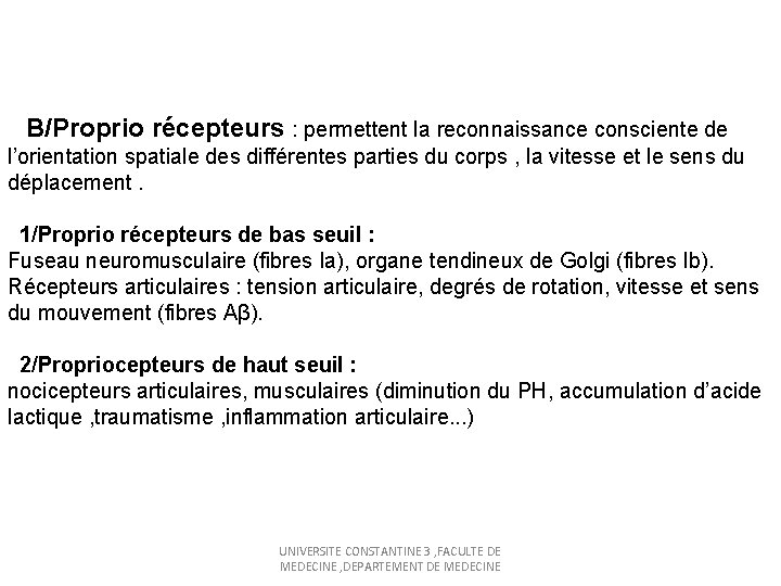 B/Proprio récepteurs : permettent la reconnaissance consciente de l’orientation spatiale des différentes parties
