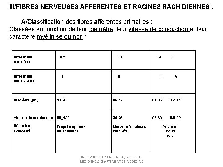 III/FIBRES NERVEUSES AFFERENTES ET RACINES RACHIDIENNES : A/Classification des fibres afférentes primaires : Classées