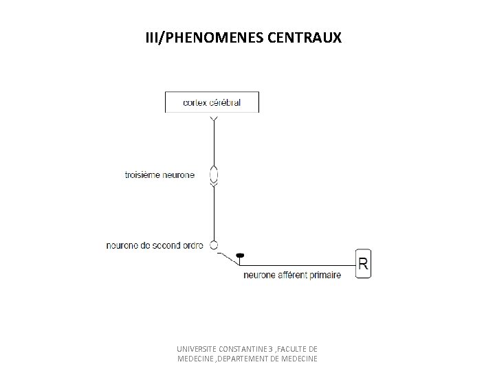 III/PHENOMENES CENTRAUX UNIVERSITE CONSTANTINE 3 , FACULTE DE MEDECINE , DEPARTEMENT DE MEDECINE 