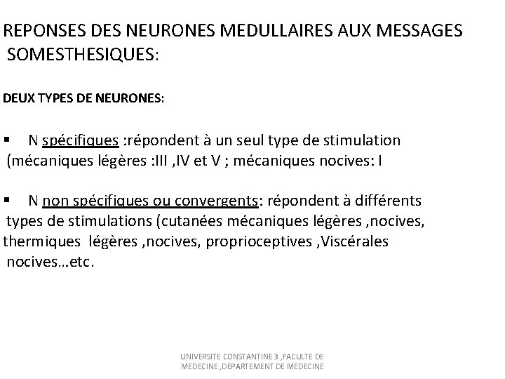REPONSES DES NEURONES MEDULLAIRES AUX MESSAGES SOMESTHESIQUES: DEUX TYPES DE NEURONES: § N spécifiques