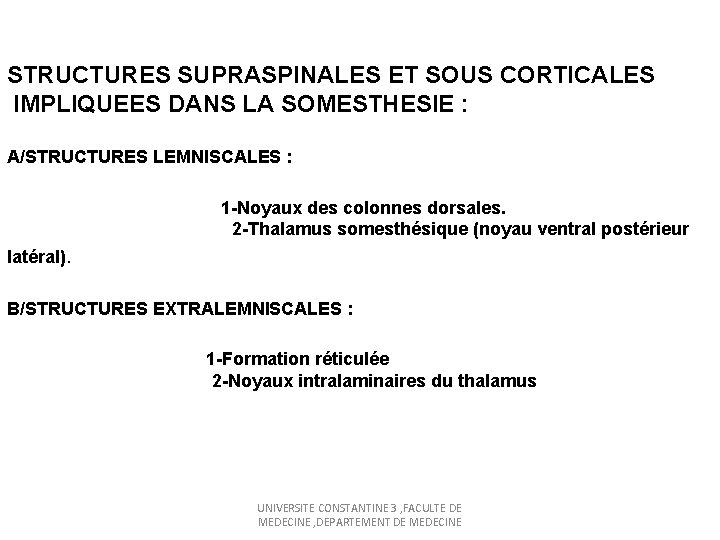 STRUCTURES SUPRASPINALES ET SOUS CORTICALES IMPLIQUEES DANS LA SOMESTHESIE : A/STRUCTURES LEMNISCALES : 1