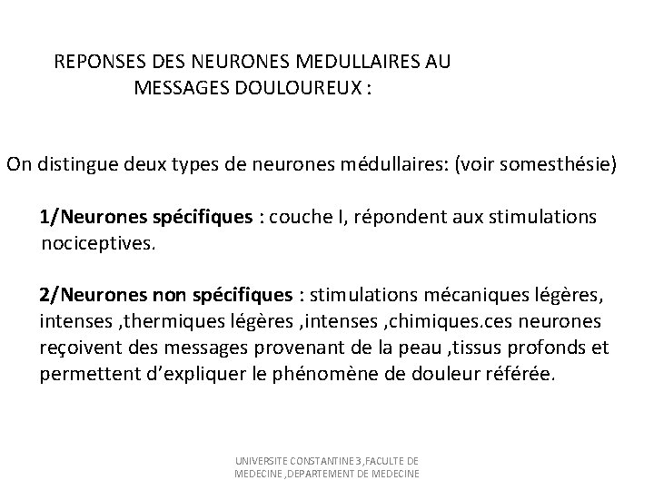 REPONSES DES NEURONES MEDULLAIRES AU MESSAGES DOULOUREUX : On distingue deux types de neurones