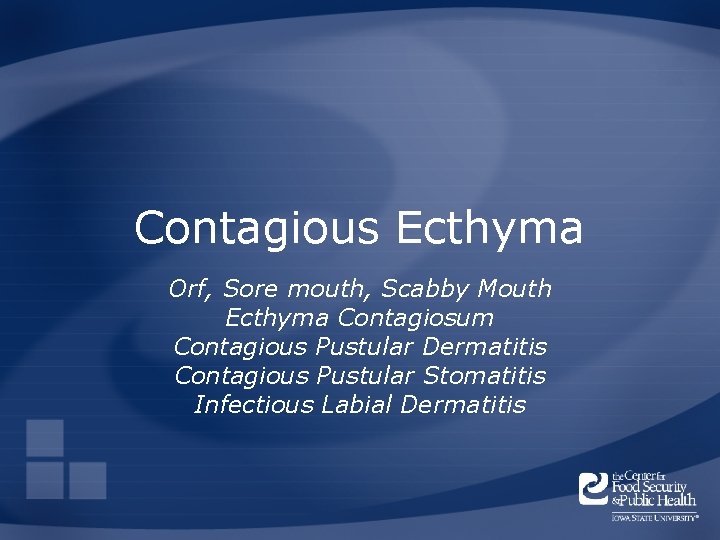 Contagious Ecthyma Orf, Sore mouth, Scabby Mouth Ecthyma Contagiosum Contagious Pustular Dermatitis Contagious Pustular