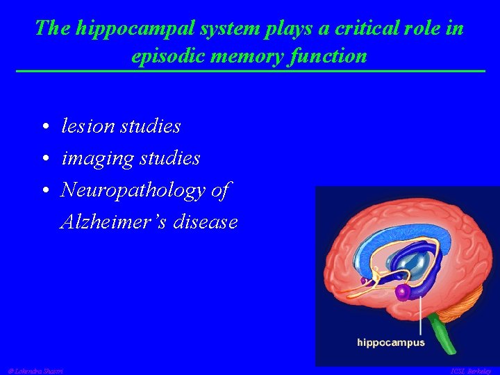 The hippocampal system plays a critical role in episodic memory function • lesion studies