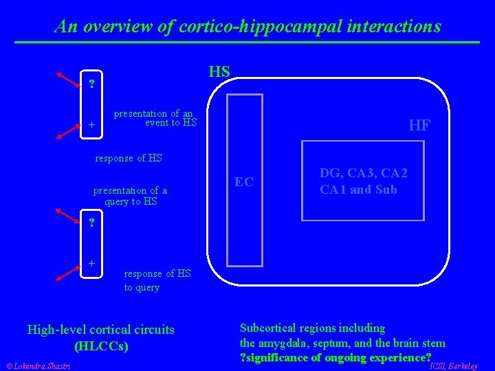 An overview of cortico-hippocampal interactions HS ? + presentation of an event to HS