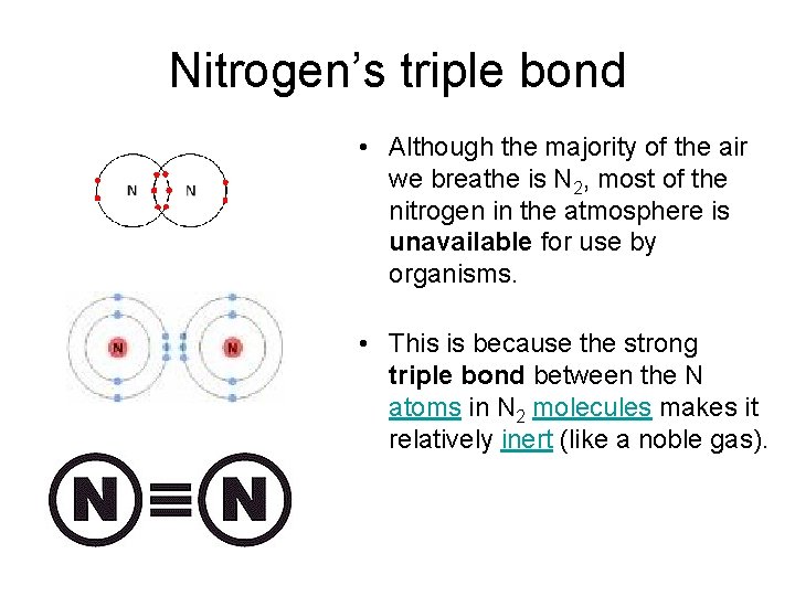 Nitrogen’s triple bond • Although the majority of the air we breathe is N