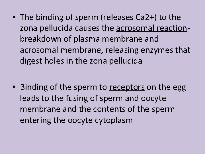 • The binding of sperm (releases Ca 2+) to the zona pellucida causes