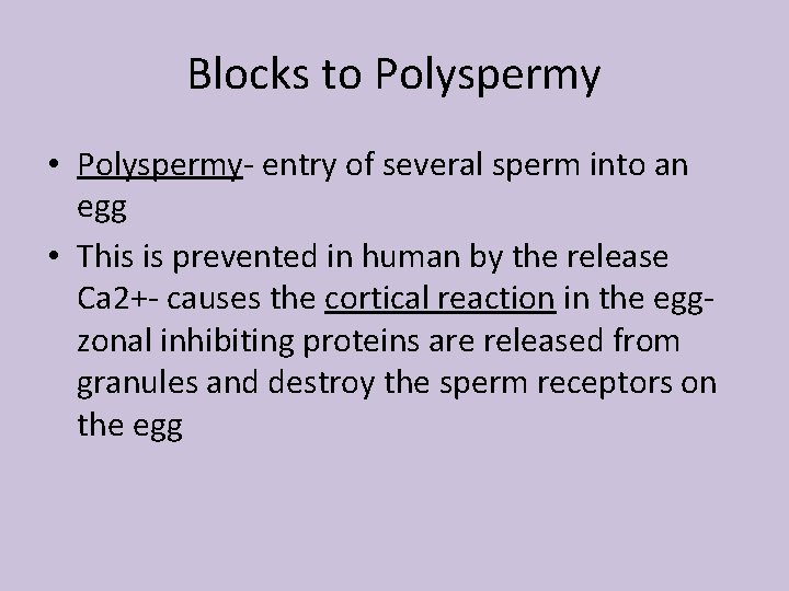 Blocks to Polyspermy • Polyspermy- entry of several sperm into an egg • This