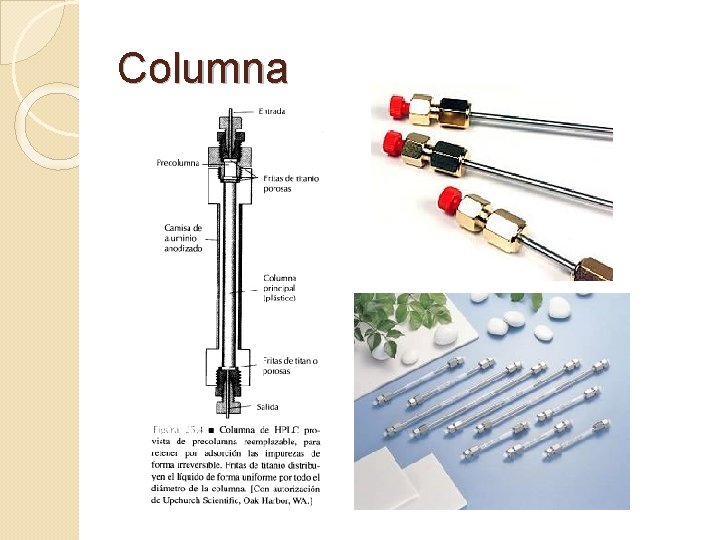 Columna 