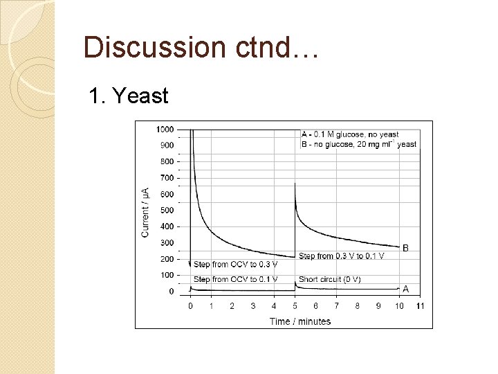 Discussion ctnd… 1. Yeast 