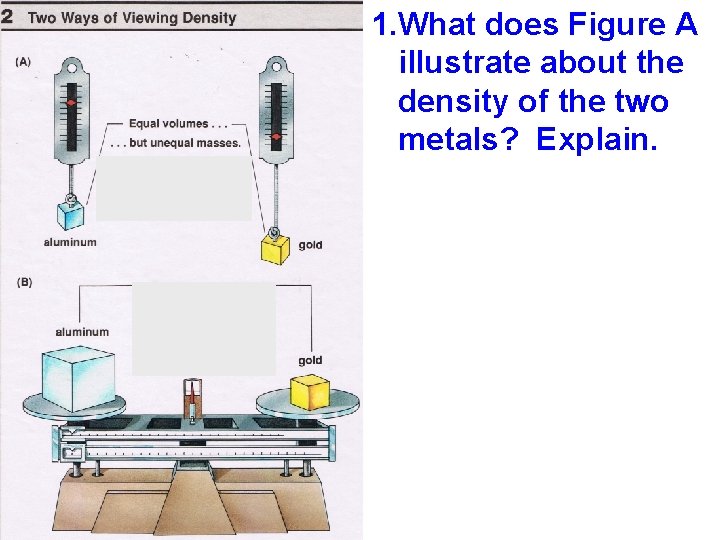 1. What does Figure A illustrate about the density of the two metals? Explain.