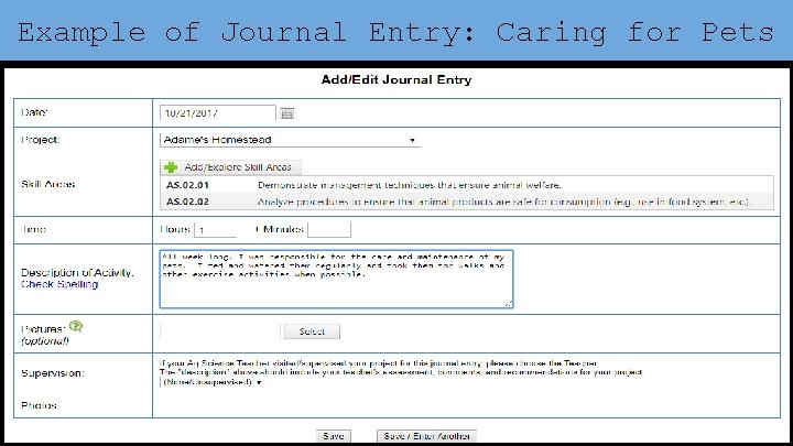 Example of Journal Entry: Caring for Pets 