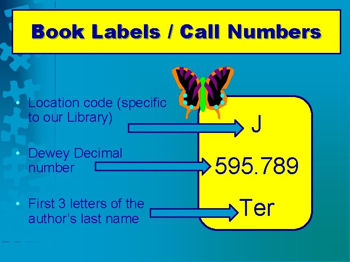 Book Labels / Call Numbers • Location code (specific to our Library) • Dewey