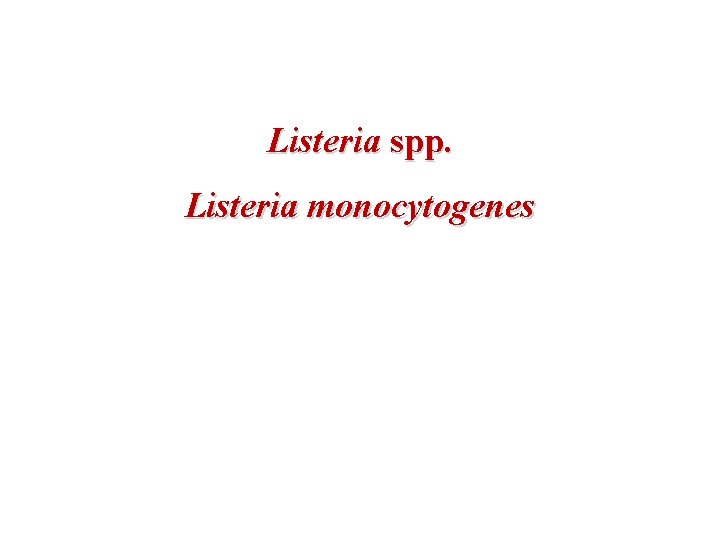 Listeria spp. Listeria monocytogenes 