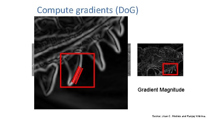 Compute gradients (Do. G) X-Derivative of Gaussian Y-Derivative of Gaussian Gradient Magnitude Source: Juan