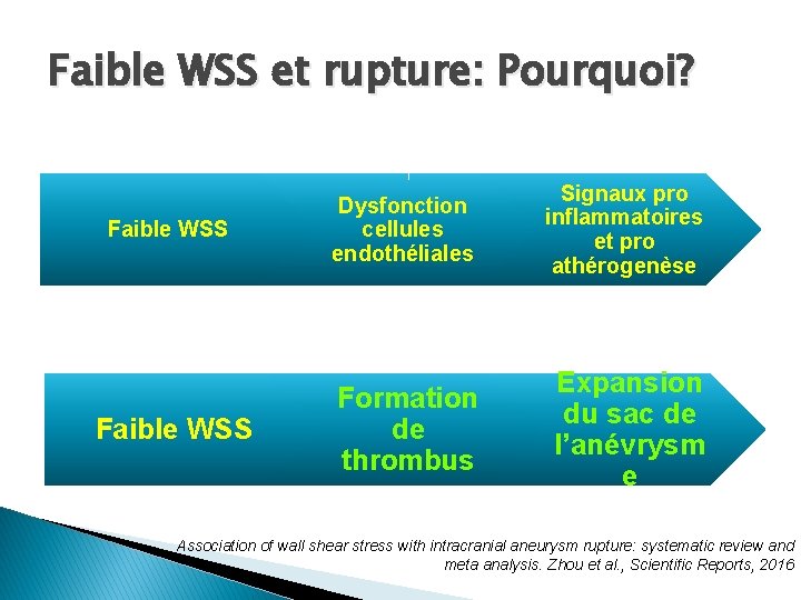 Faible WSS et rupture: Pourquoi? Faible WSS Dysfonction cellules endothéliales Signaux pro inflammatoires et