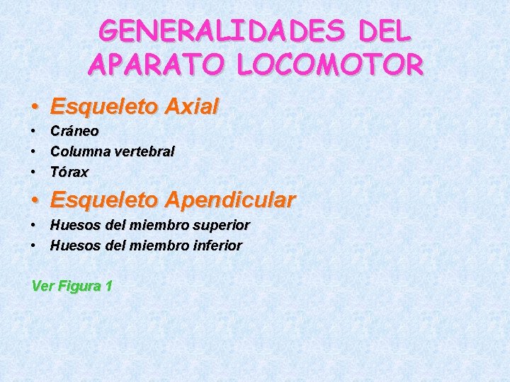 GENERALIDADES DEL APARATO LOCOMOTOR • Esqueleto Axial • Cráneo • Columna vertebral • Tórax