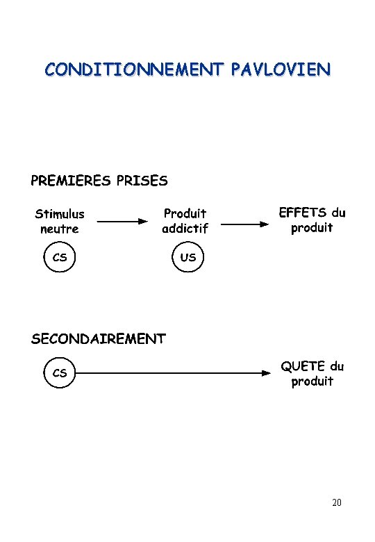 CONDITIONNEMENT PAVLOVIEN 20 