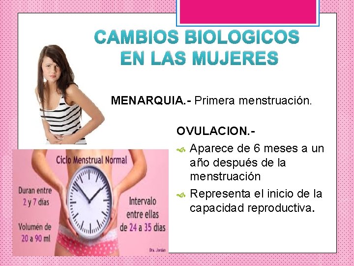 CAMBIOS BIOLOGICOS EN LAS MUJERES MENARQUIA. - Primera menstruación. OVULACION. Aparece de 6 meses