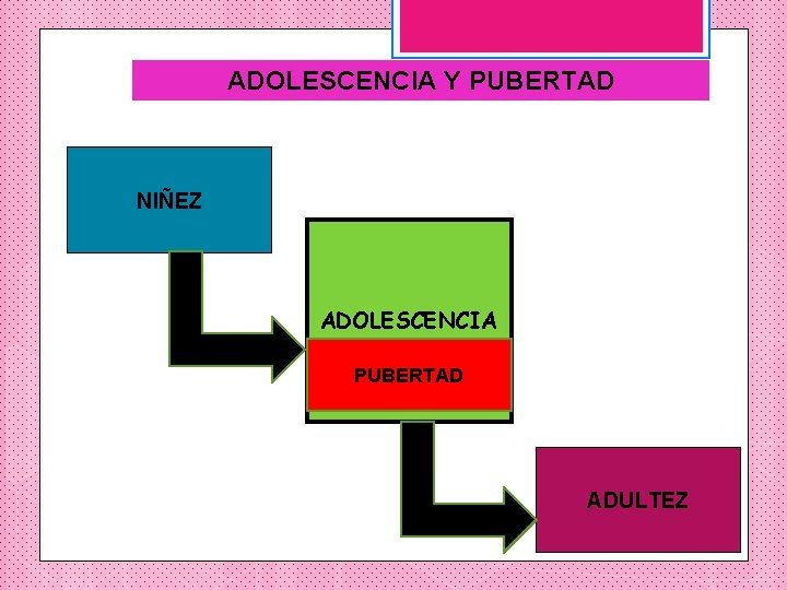 ADOLESCENCIA Y PUBERTAD NIÑEZ ADOLESCENCIA PUBERTAD ADULTEZ 