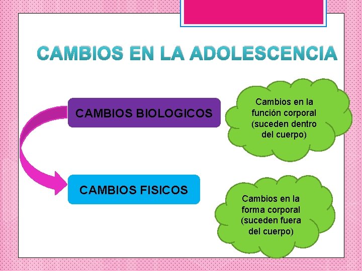 CAMBIOS EN LA ADOLESCENCIA CAMBIOS BIOLOGICOS CAMBIOS FISICOS Cambios en la función corporal (suceden