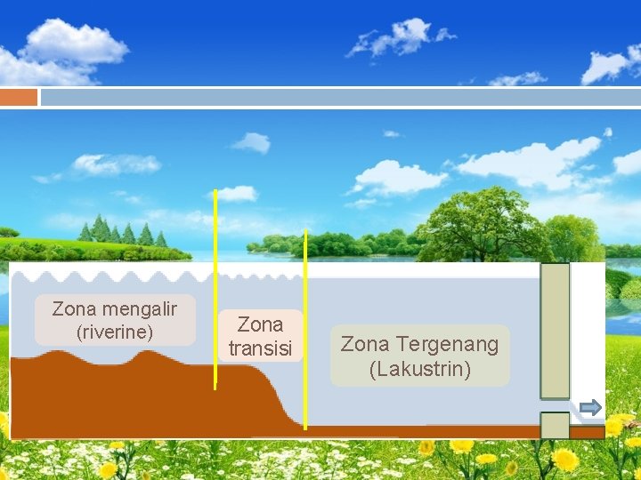 Zona mengalir (riverine) Zona transisi Zona Tergenang (Lakustrin) 
