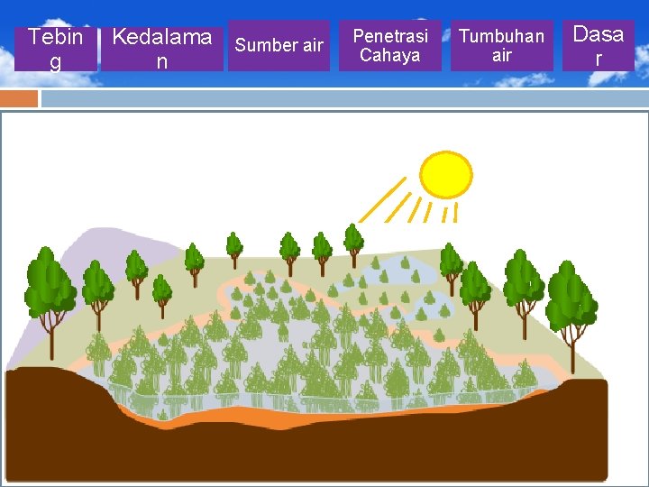 Tebin g Kedalama n Sumber air Penetrasi Cahaya Tumbuhan air Dasa r 