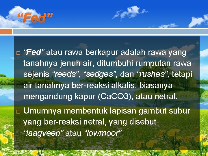 “Fed” atau rawa berkapur adalah rawa yang tanahnya jenuh air, ditumbuhi rumputan rawa sejenis