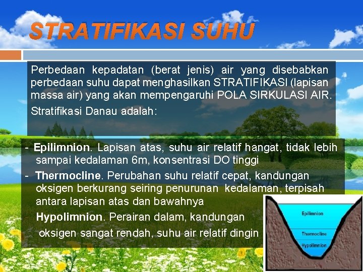 STRATIFIKASI SUHU Perbedaan kepadatan (berat jenis) air yang disebabkan perbedaan suhu dapat menghasilkan STRATIFIKASI