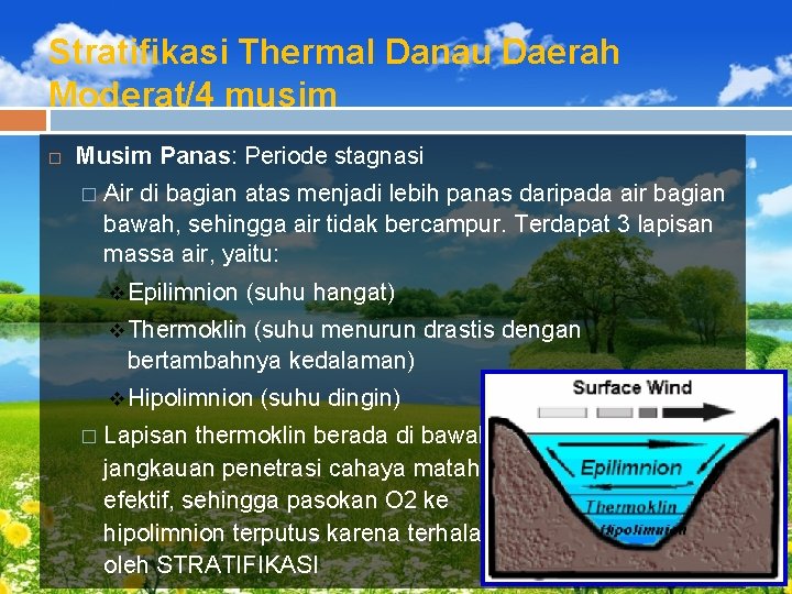 Stratifikasi Thermal Danau Daerah Moderat/4 musim Musim Panas: Periode stagnasi � Air di bagian