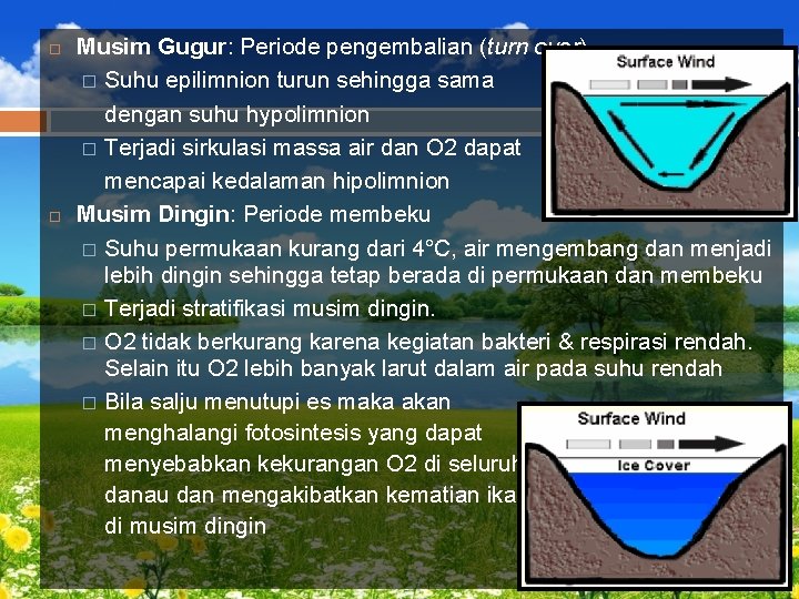  Musim Gugur: Periode pengembalian (turn over) � Suhu epilimnion turun sehingga sama dengan