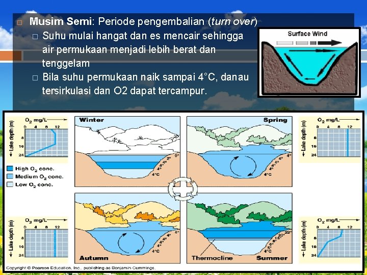  Musim Semi: Periode pengembalian (turn over) � Suhu mulai hangat dan es mencair