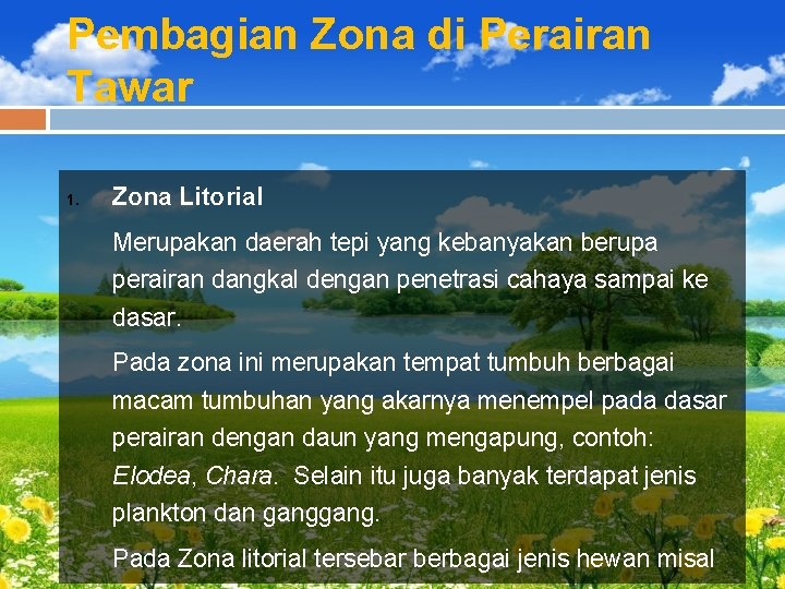 Pembagian Zona di Perairan Tawar 1. Zona Litorial Merupakan daerah tepi yang kebanyakan berupa